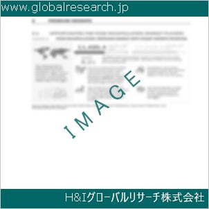 グローバルリサーチ調査資料のイメージ